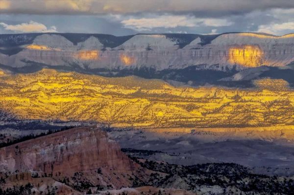 Utah, Bryce Canyon Sunrise contrasts on canyon